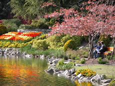 Park picture